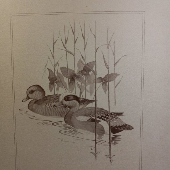 Vintage American Waterfowl Etching/Print Lynn Forehand 4 of 5 Cottagecor… - Picture 1 of 7